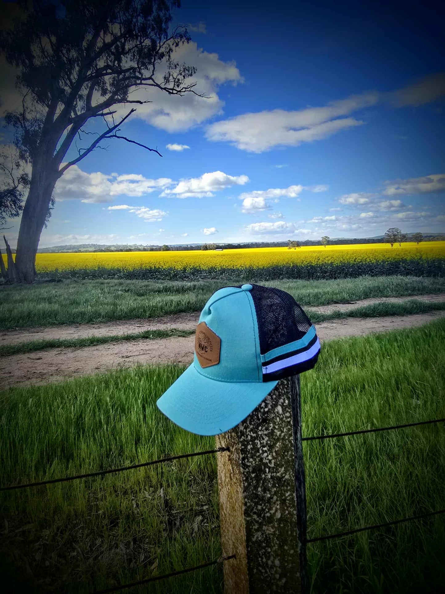 Teal